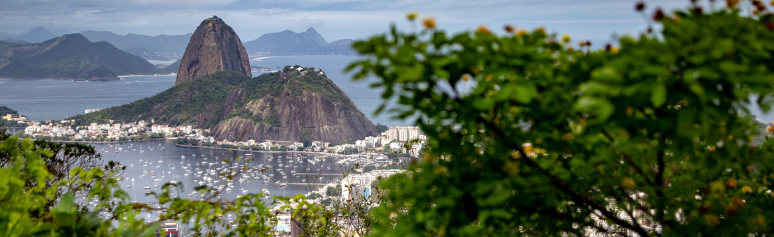 from-lula-to-tarcisio-brazil-political-dynamics